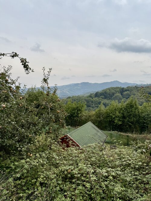 La cabaña de Sama de Langreo Asturias - Imagen 22