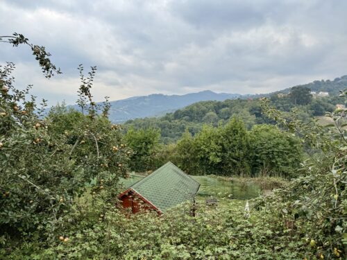 La cabaña de Sama de Langreo Asturias - Imagen 5