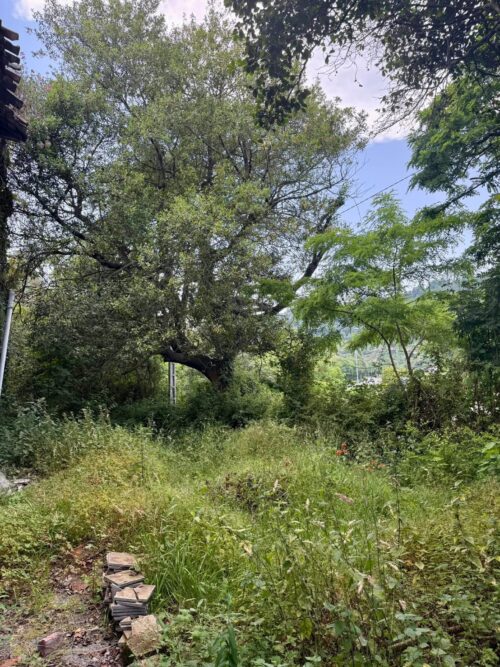 Se Vende Chalet Barato en Langreo, Asturias – Opción de Pago Flexible - Imagen 5