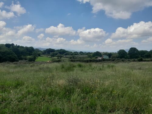 Venta de 7 fincas edificables en Celles (Siero) Asturias | A 15 min de Gijón - Imagen 4