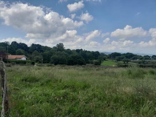 Venta de 7 fincas edificables en Celles (Siero) Asturias | A 15 min de Gijón - Imagen 5
