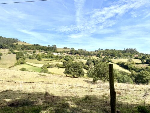 Finca rústica agraria 2.5 hectáreas en Llosones, Muño – Siero - Imagen 2