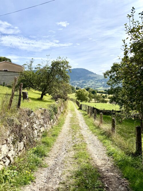 Finca rústica agraria 2.5 hectáreas en Llosones, Muño – Siero - Imagen 3