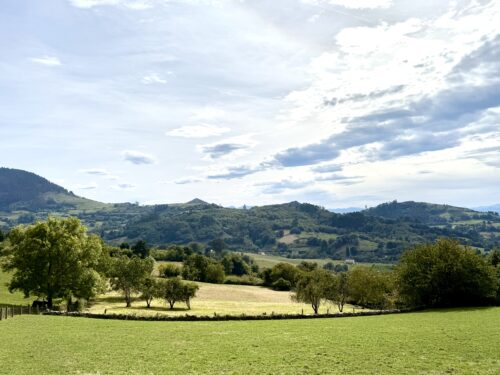 Finca rústica agraria 2.5 hectáreas en Llosones, Muño – Siero - Imagen 5