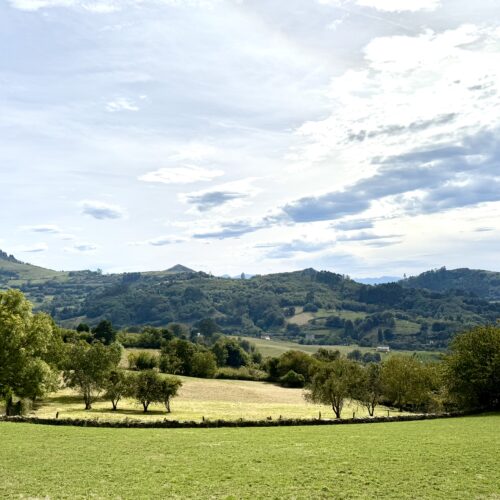Finca rústica agraria 2.5 hectáreas en Llosones, Muño – Siero