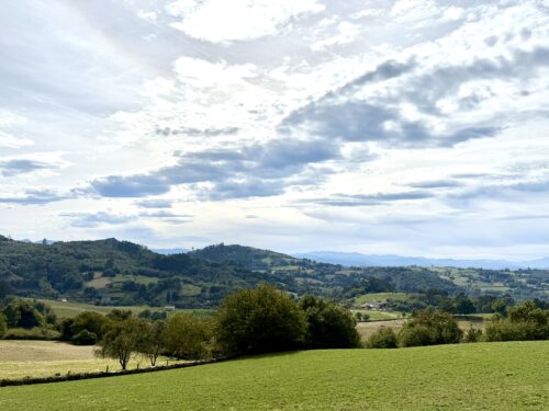 Finca rústica agraria 2.5 hectáreas en Llosones, Muño – Siero - Imagen 6