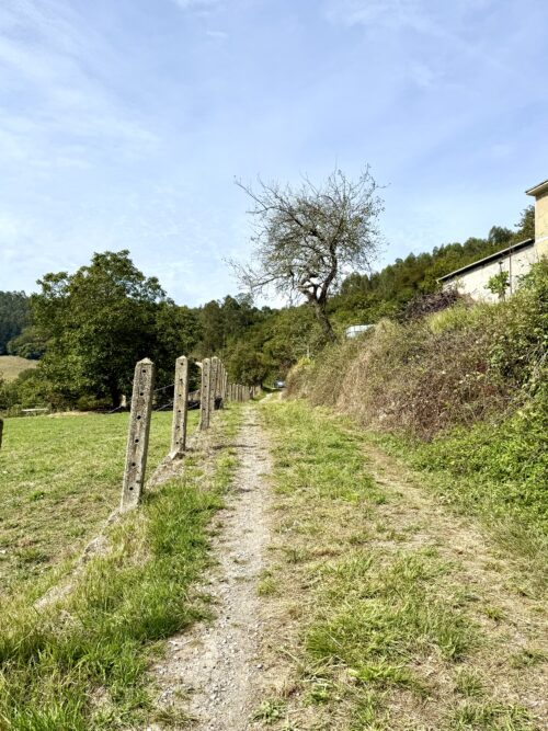 Finca rústica agraria 2.5 hectáreas en Llosones, Muño – Siero - Imagen 4