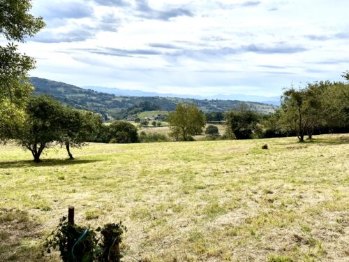 Finca rústica agraria 2.5 hectáreas en Llosones, Muño – Siero - Imagen 8