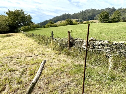 Finca rústica agraria 2.5 hectáreas en Llosones, Muño – Siero - Imagen 9