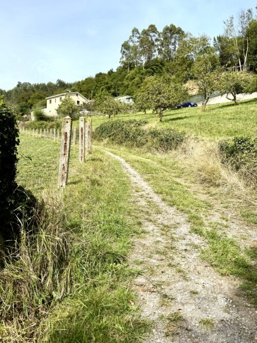 Finca rústica agraria 2.5 hectáreas en Llosones, Muño – Siero - Imagen 10