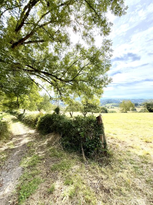 Finca rústica agraria 2.5 hectáreas en Llosones, Muño – Siero - Imagen 11