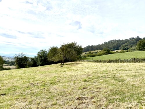 Finca rústica agraria 2.5 hectáreas en Llosones, Muño – Siero - Imagen 13