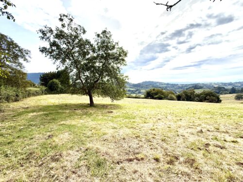 Finca rústica agraria 2.5 hectáreas en Llosones, Muño – Siero - Imagen 14