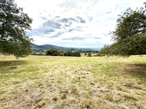 Finca rústica agraria 2.5 hectáreas en Llosones, Muño – Siero - Imagen 15