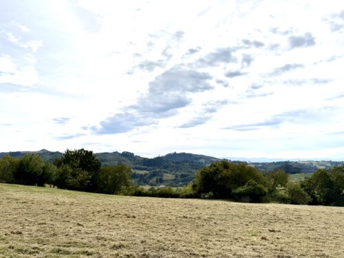 Finca rústica agraria 2.5 hectáreas en Llosones, Muño – Siero - Imagen 16