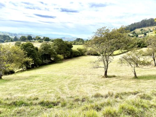 Finca rústica agraria 2.5 hectáreas en Llosones, Muño – Siero - Imagen 19