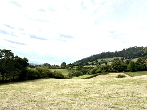 Finca rústica agraria 2.5 hectáreas en Llosones, Muño – Siero - Imagen 23