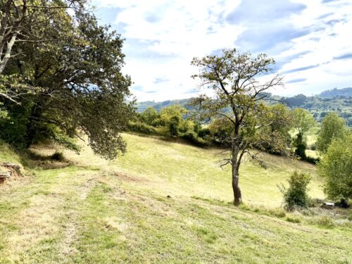 Finca rústica agraria 2.5 hectáreas en Llosones, Muño – Siero - Imagen 22
