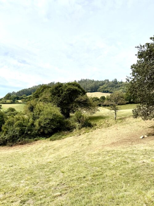 Finca rústica agraria 2.5 hectáreas en Llosones, Muño – Siero - Imagen 26