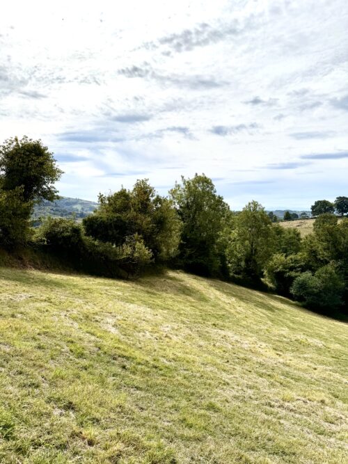 Finca rústica agraria 2.5 hectáreas en Llosones, Muño – Siero - Imagen 30