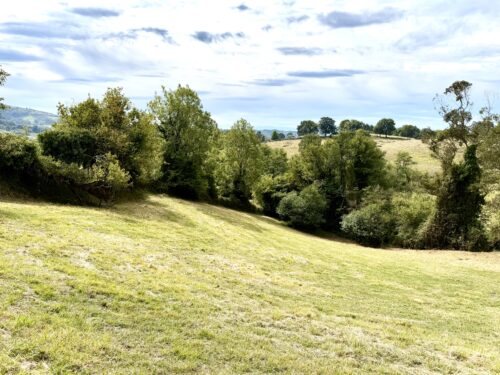 Finca rústica agraria 2.5 hectáreas en Llosones, Muño – Siero - Imagen 29