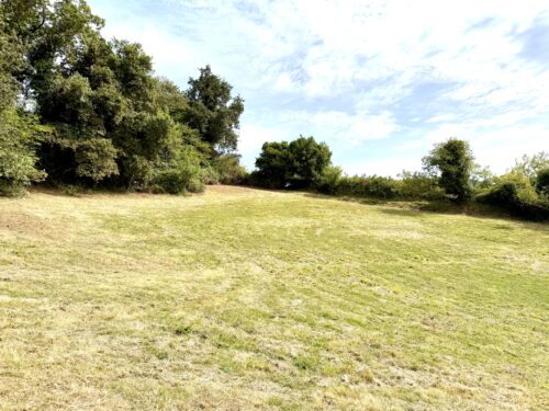 Finca rústica agraria 2.5 hectáreas en Llosones, Muño – Siero - Imagen 31