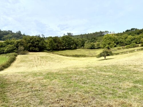Finca rústica agraria 2.5 hectáreas en Llosones, Muño – Siero - Imagen 35