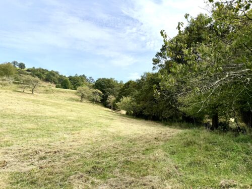 Finca rústica agraria 2.5 hectáreas en Llosones, Muño – Siero - Imagen 36