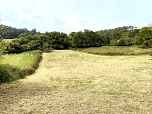 Finca rústica agraria 2.5 hectáreas en Llosones, Muño – Siero - Imagen 38