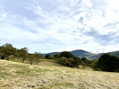 Finca rústica agraria 2.5 hectáreas en Llosones, Muño – Siero - Imagen 40
