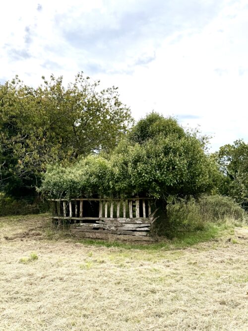 Finca rústica agraria 2.5 hectáreas en Llosones, Muño – Siero - Imagen 41