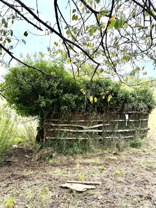 Finca rústica agraria 2.5 hectáreas en Llosones, Muño – Siero - Imagen 42