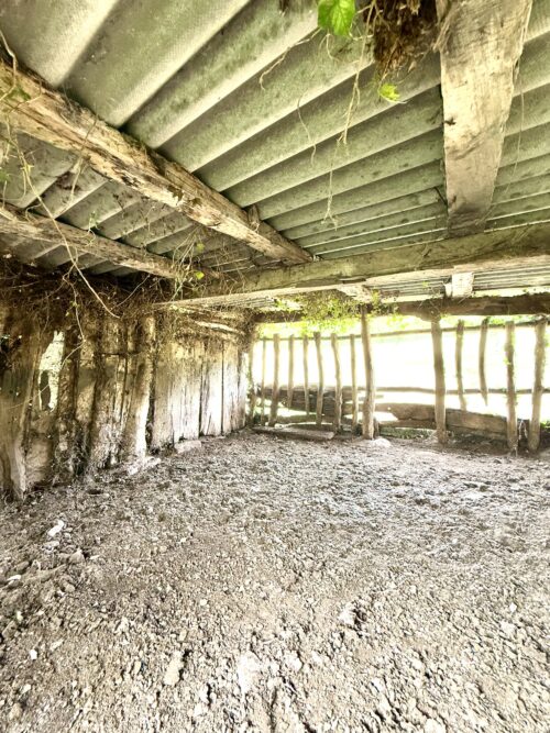 Finca rústica agraria 2.5 hectáreas en Llosones, Muño – Siero - Imagen 43