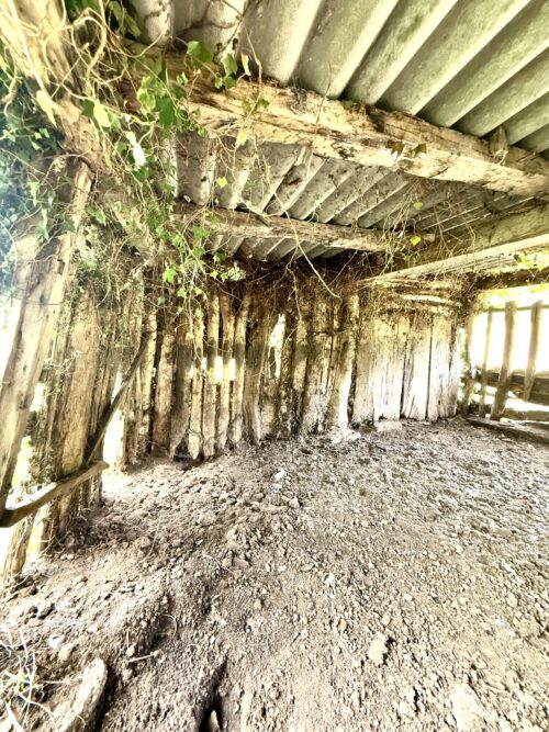 Finca rústica agraria 2.5 hectáreas en Llosones, Muño – Siero - Imagen 44
