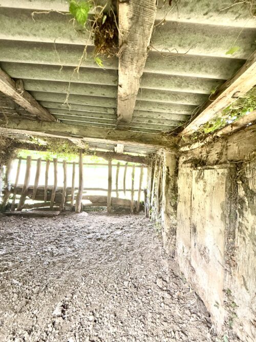 Finca rústica agraria 2.5 hectáreas en Llosones, Muño – Siero - Imagen 45
