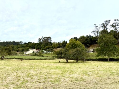 Finca rústica agraria 2.5 hectáreas en Llosones, Muño – Siero - Imagen 47