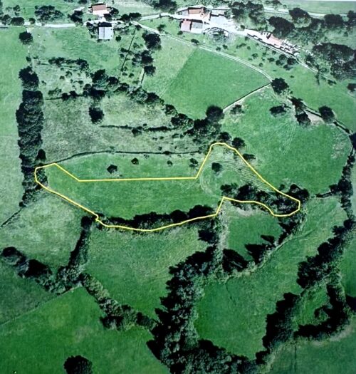 Finca rústica agraria 2.5 hectáreas en Llosones, Muño – Siero - Imagen 48