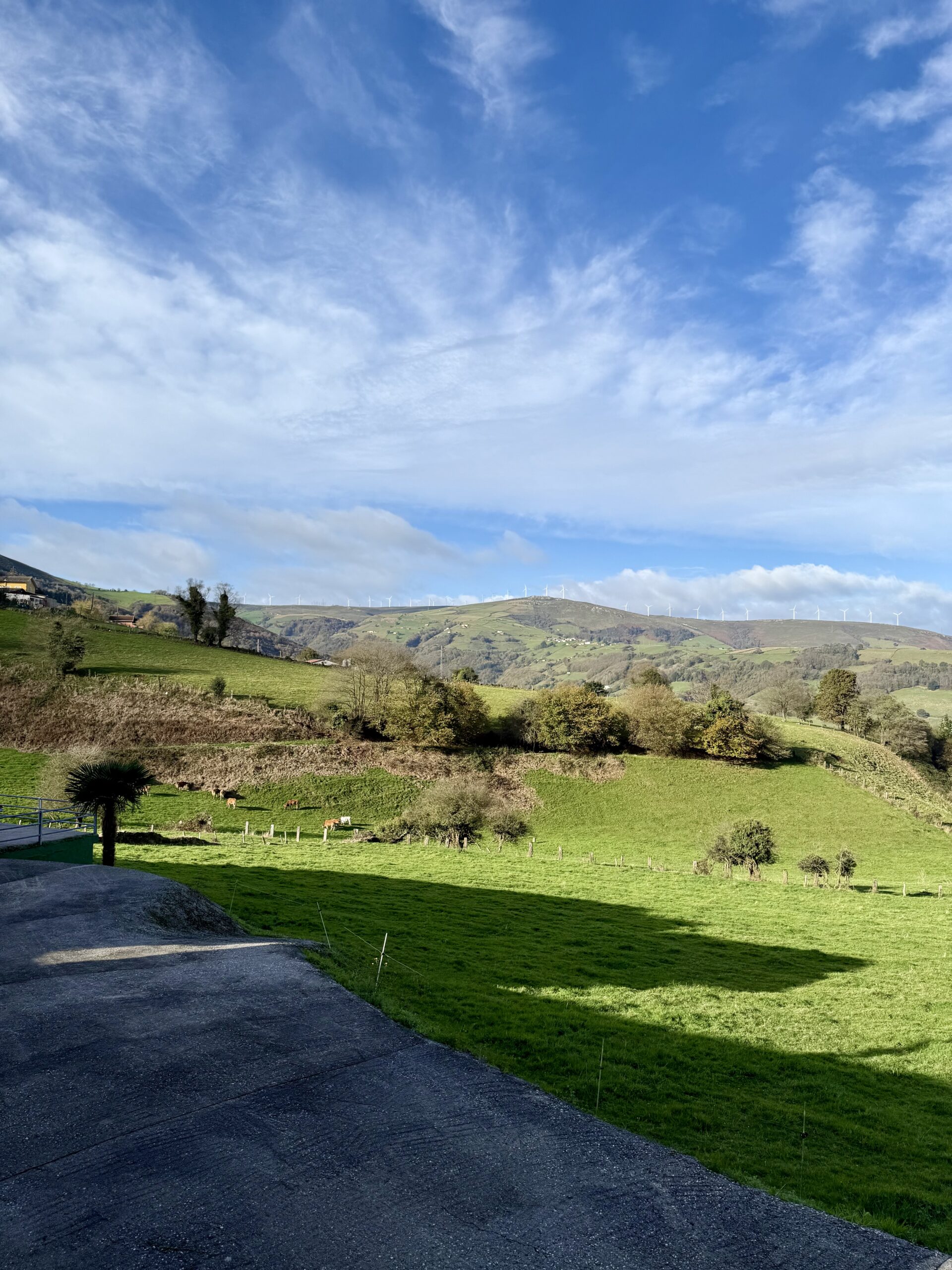 Casa rural asturiana con hórreo, finca y garaje – La Espina, Salas (Asturias) 76 Casa rural asturiana con hórreo, finca y garaje – La Espina, Salas (Asturias) - Imagen 76