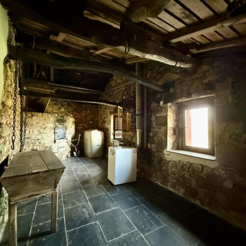 IMG_3326 IMG_3326