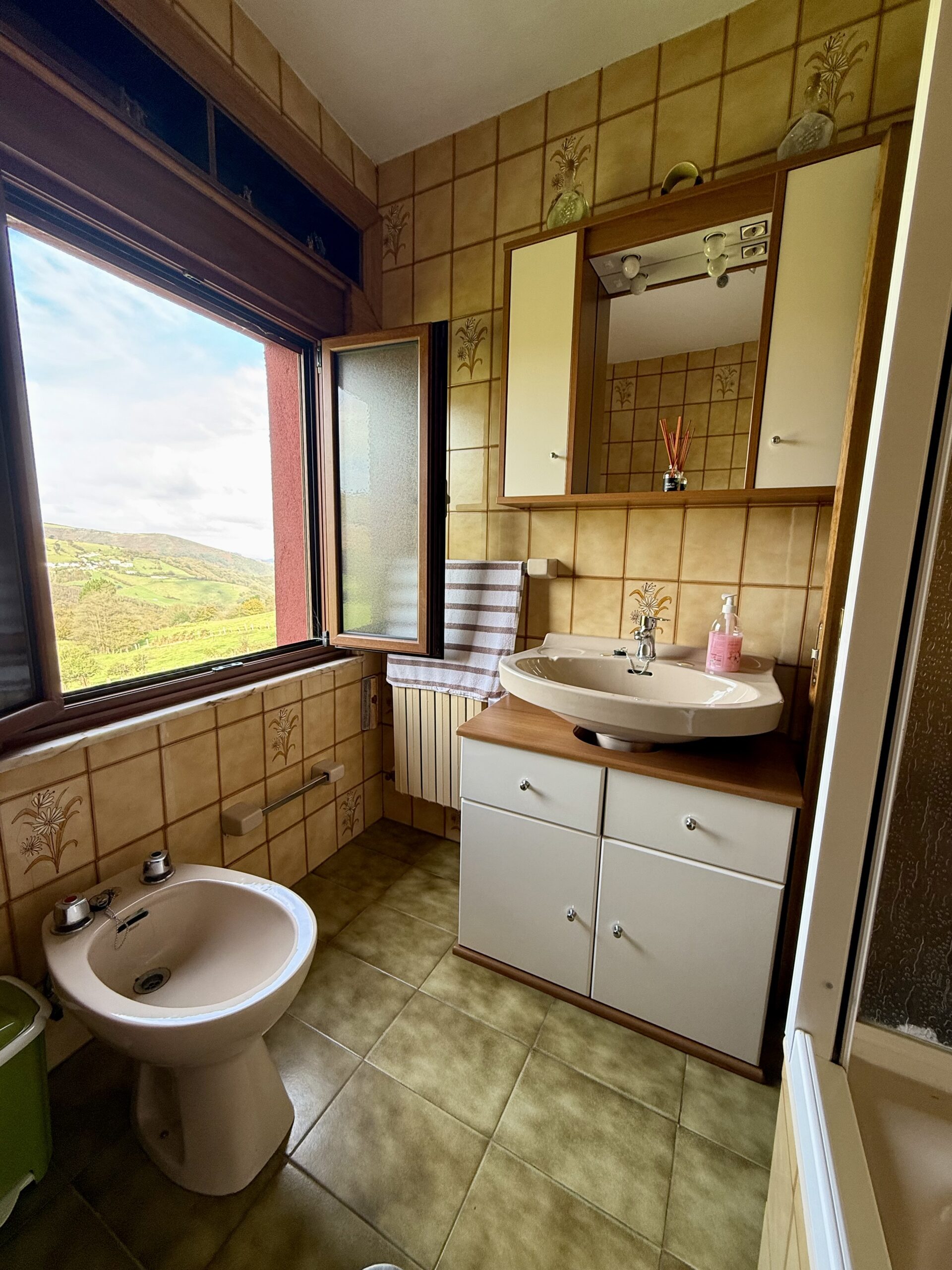 Casa rural asturiana con hórreo, finca y garaje – La Espina, Salas (Asturias) 41 Casa rural asturiana con hórreo, finca y garaje – La Espina, Salas (Asturias) - Imagen 41