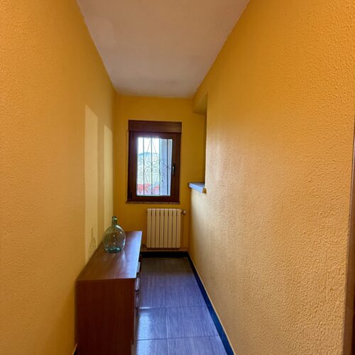 IMG_3354 IMG_3354