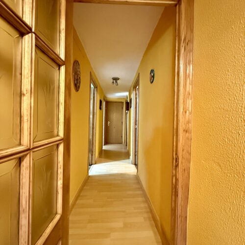 IMG_3355 IMG_3355