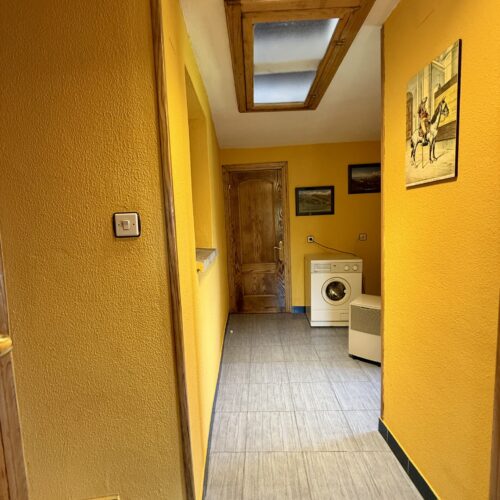 IMG_3356 IMG_3356