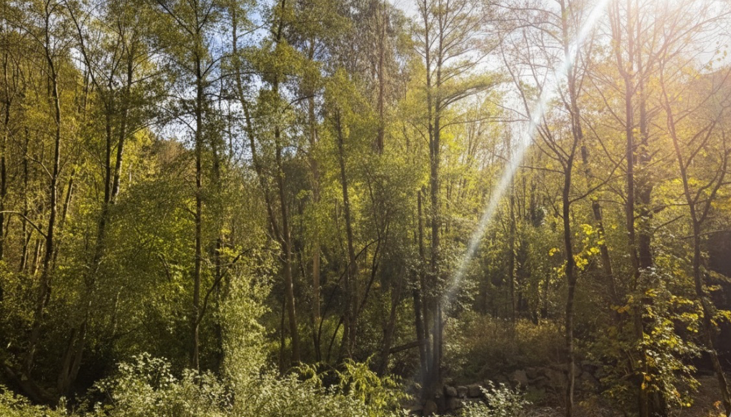 Casa rural asturiana con hórreo, finca y garaje – La Espina, Salas (Asturias) 9 Casa rural asturiana con hórreo, finca y garaje – La Espina, Salas (Asturias) - Imagen 9