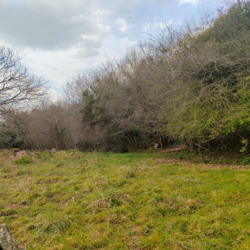 finca rustica venta en gijon