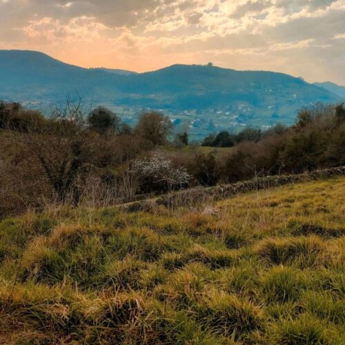 Finca Rústica de 8.000m² en Baldornón (Gijón). Posibilidad de Luz y Agua.