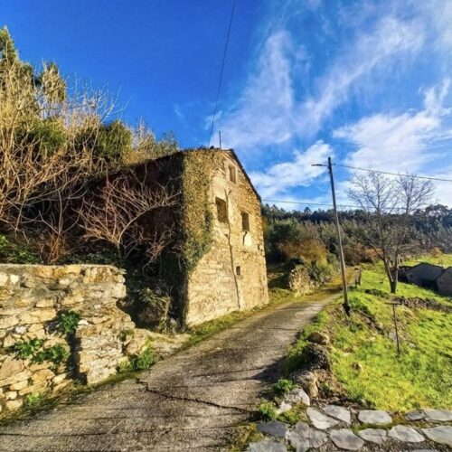 Venta de casas de piedra para reformar con terreno de 12.000m2 y documentación legal en Boal, Asturias