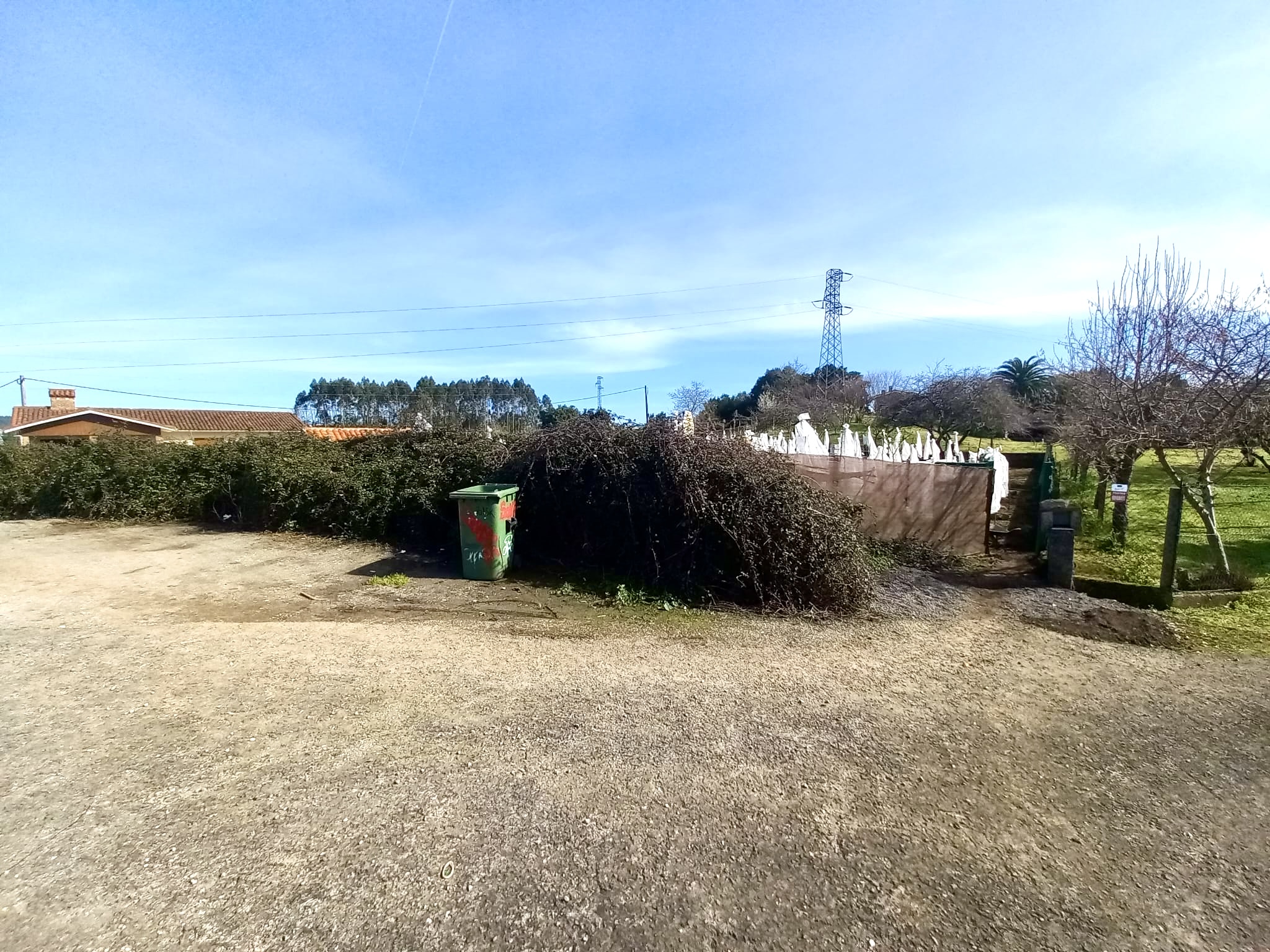 🍅 Tu Imperio del Tamarillo en Colunga: Finca, Refugio y Plan B por 23.000€ 🍅 Tu Imperio del Tamarillo en Colunga: Finca, Refugio y Plan B por 23.000€ - Imagen 12