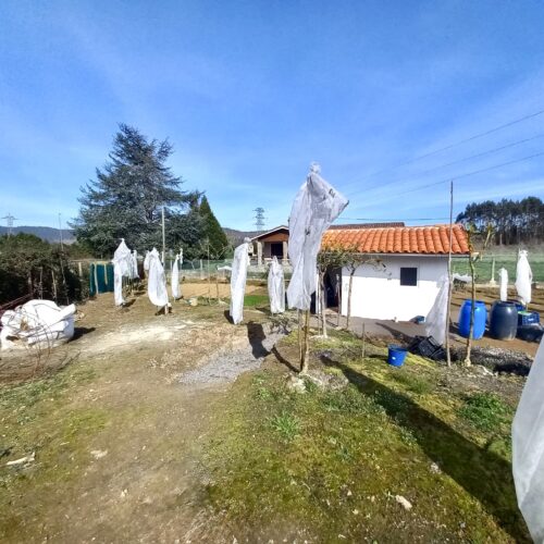 Club VIP Inversores Asturias | Casas, Pisos y Fincas