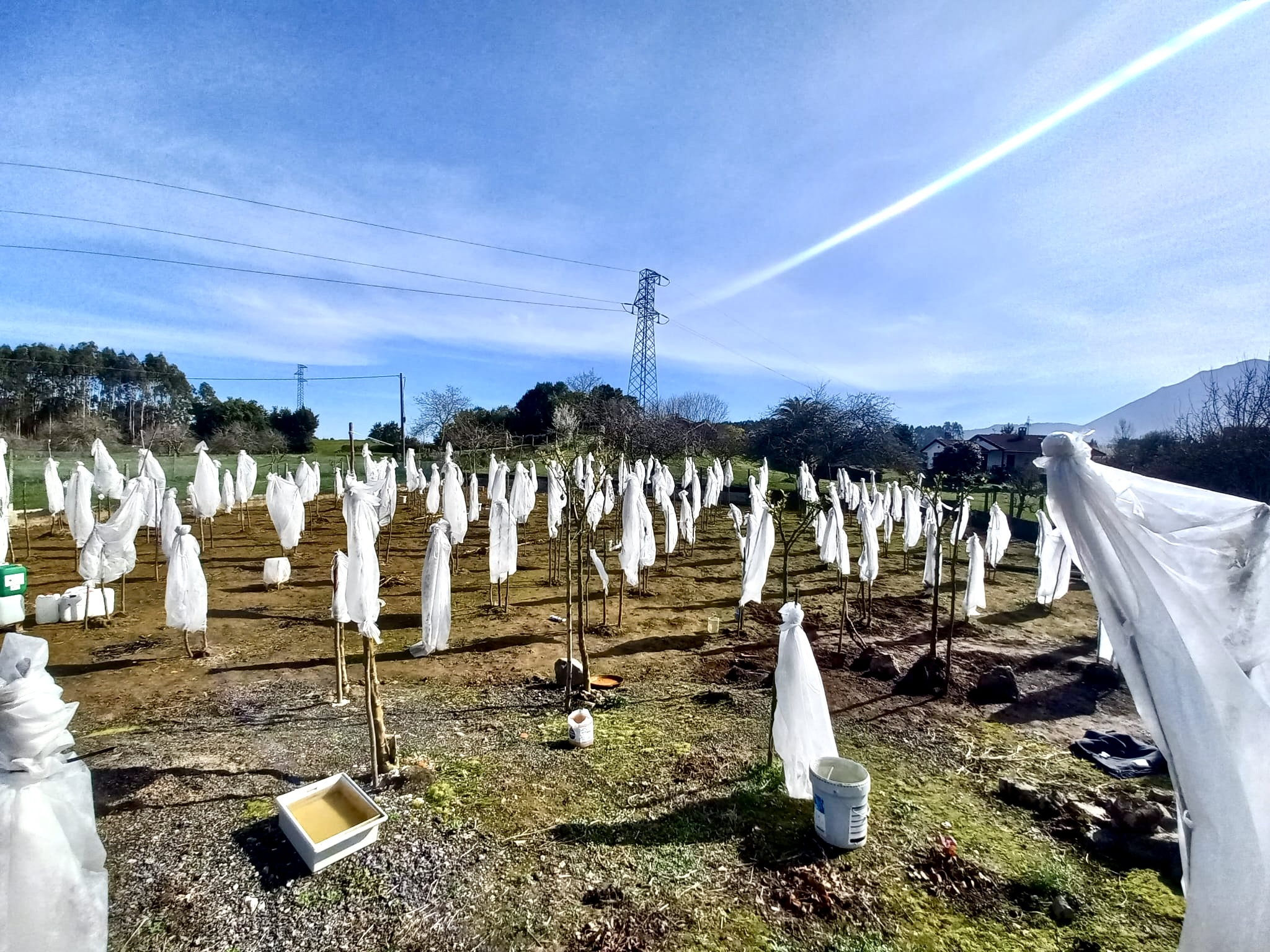 🍅 Tu Imperio del Tamarillo en Colunga: Finca, Refugio y Plan B por 23.000€ 🍅 Tu Imperio del Tamarillo en Colunga: Finca, Refugio y Plan B por 23.000€ - Imagen 8